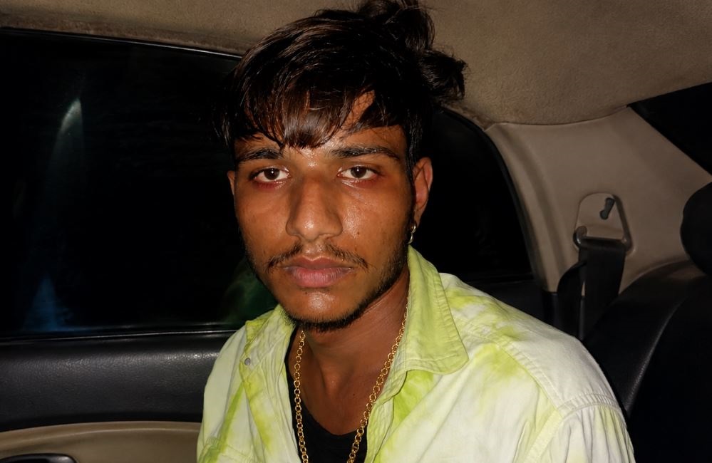 palpal  image