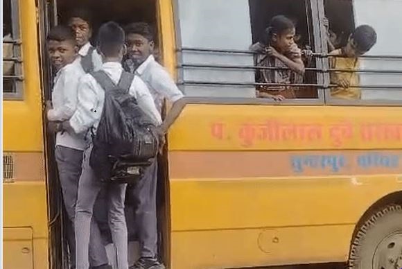 palpal  image