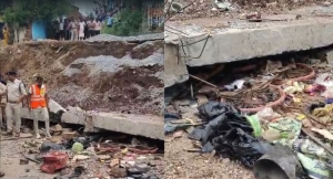 palpalimage