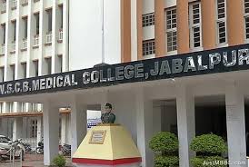 palpal  image