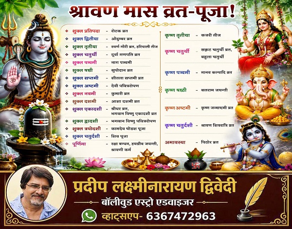 palpal  image
