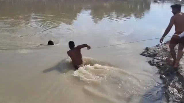 हरिद्वार: गंगनहर में डूबने से चंडीगढ़ के 4 नाबालिग कांवड़ यात्रियों की मौत, मचा हड़कम्प