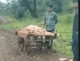 जबलपुर : बरगी क्षेत्र में रास्ते में कीचड़, एम्बुलेंस फंसी तो हाथ ठेले पर ले जाना पड़ा बच्ची का शव