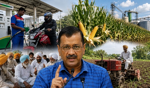 palpal india image