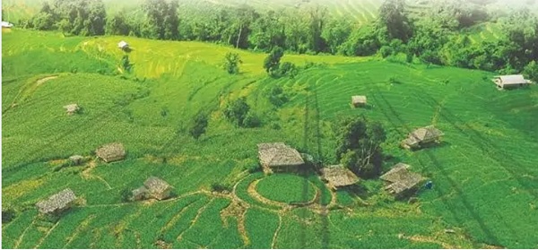 छत्तीसगढ़ भू-राजस्व संहिता में सुधार: सुशासन, डिजिटलीकरण और जन-राहत का नया सवेरा