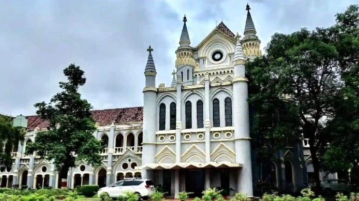 palpal  image