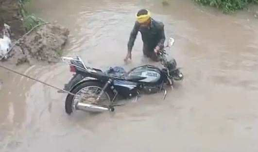 palpal  image