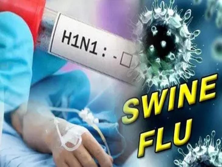 बिलासपुर में स्वाइन फ्लू का प्रकोप: 6 से अधिक सक्रिय मामले, सिम्स में अलर्ट और विशेष वार्ड तैयार