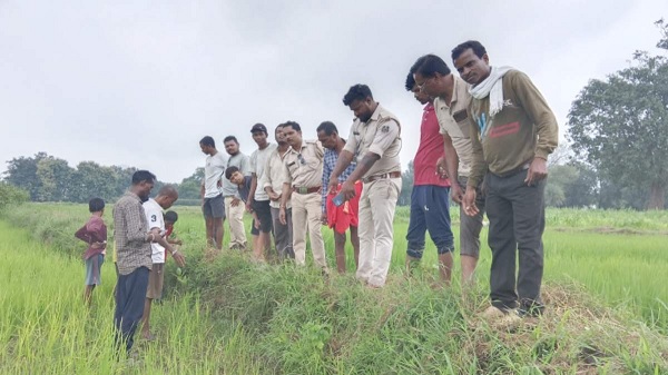 बस्तर के जंगलों में दिखा बाघ, ग्रामीणों में दहशत: वन विभाग ने अलर्ट जारी कर मुनादी कराई