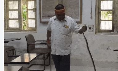 जबलपुर मेडिकल कॉलेज के एनाटॉमी विभाग में घुसा सांप छात्रों में मची चीख पुकार, भगदड़