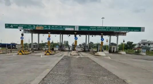 palpal  image