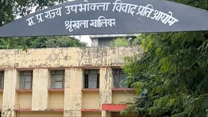 palpal  image