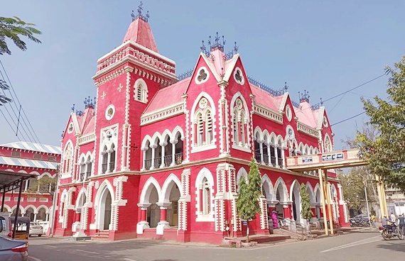 palpal  image