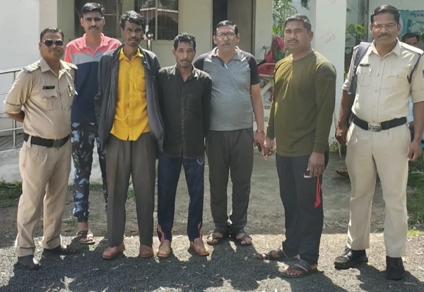 palpal  image