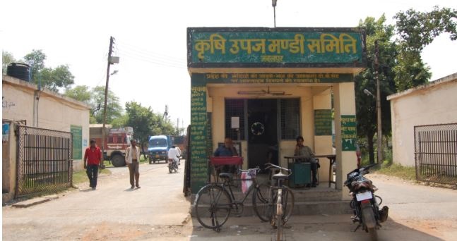 palpal  image