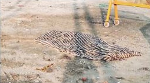 सड़क पर मिली मजदूर की लाश, जबलपुर के गुप्तेश्वर क्षेत्र में घटना से सनसनी