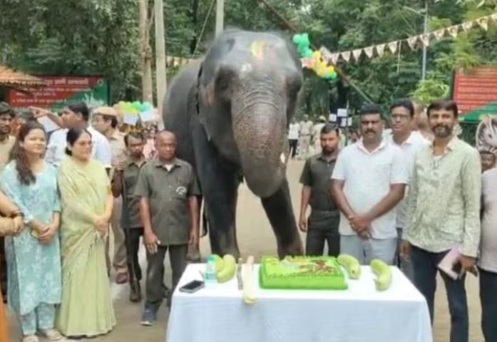 झारखंड में नन्हे हाथी बादल का धूमधाम से मना पहला जन्मदिन, मां रजनी के साथ काटा केक