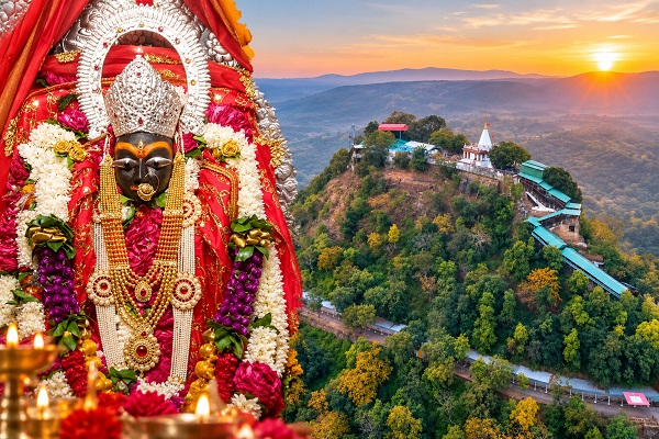 palpal  image