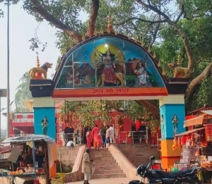 palpalimage