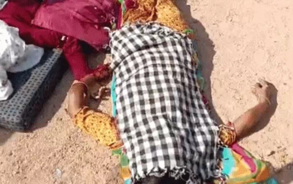 palpal  image