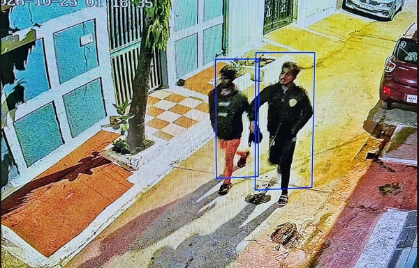 palpal  image