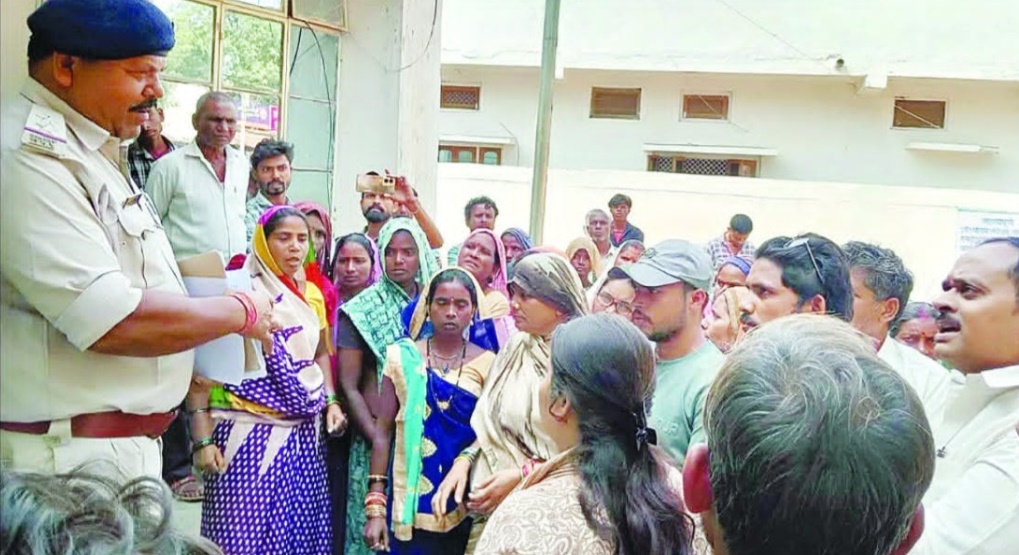 palpal  image