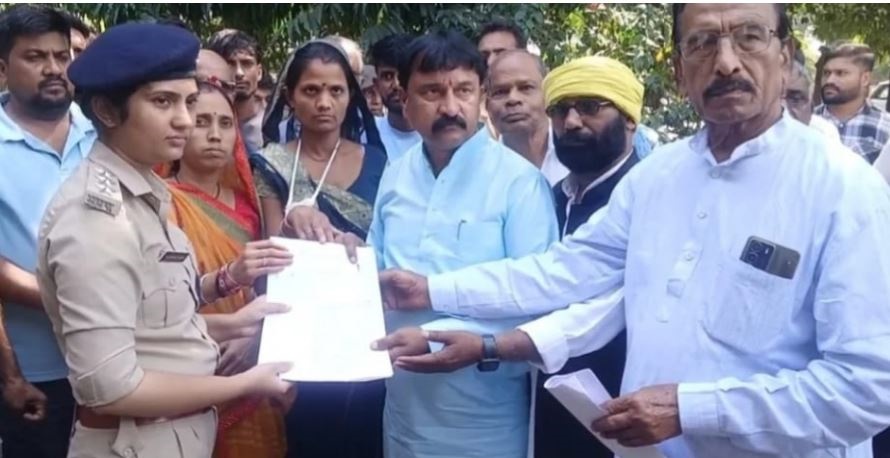 palpal  image