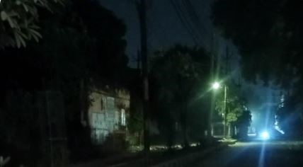 palpal  image